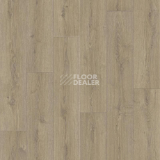 Линолеум Tarkett Praktika BRUNO_1 фото 1 | FLOORDEALER